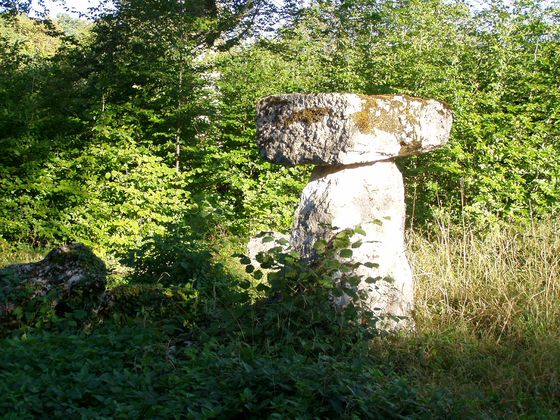 Dolmen du Champ-des-Perches in der Nähe von Bugnières Bild