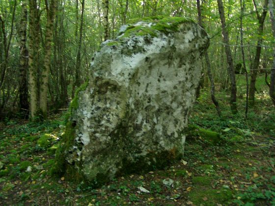 Menhir La Pierre qui Vire Bild