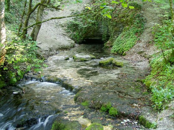 Source de la Coquille bei Étalante Bild