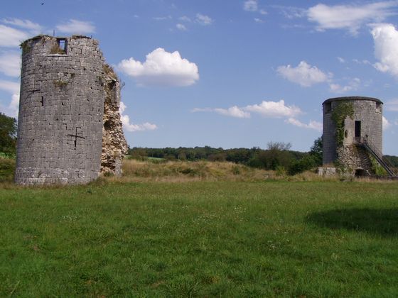 Türme des Château ducal de Villaines-en-Duesmois Bild