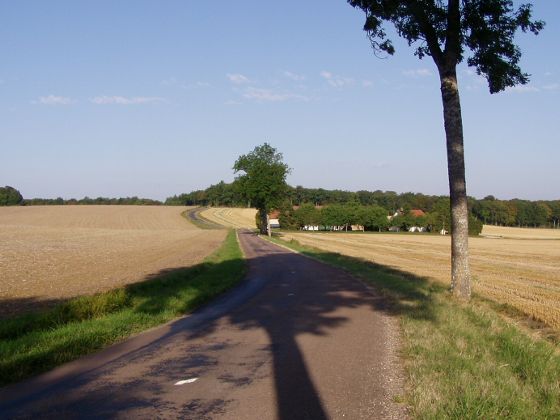 Landschaft in der Nähe von Châteauvillain Bild