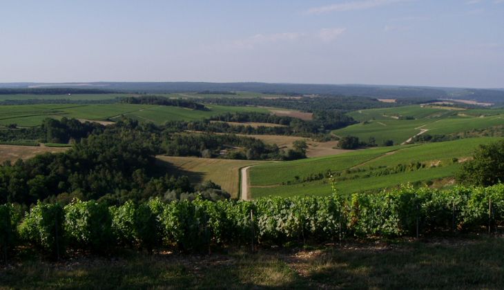 Blick über das Plateau de Blu Bild