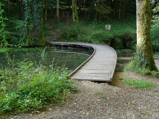 Weiher und steg bei der Aubequelle Bild