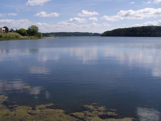 Blick über den Lac de la Liez Bild