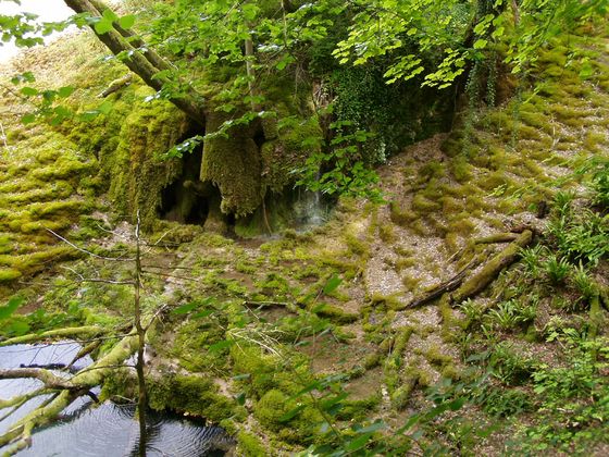 Tuffsteinquelle bei Rolampont - Source de la Tuffière Bild