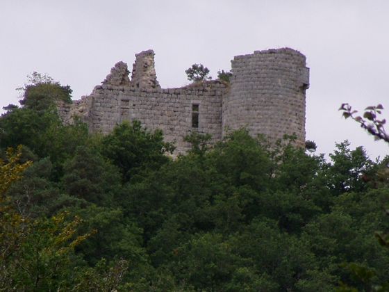 Château de la Garde - Blick von der Straße in die Truyèreschlucht Bild