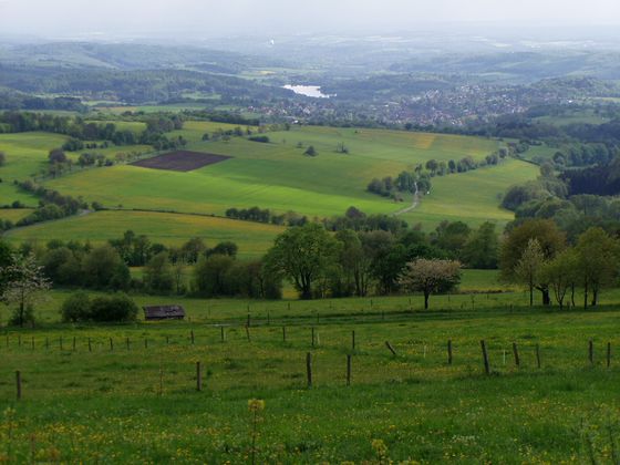 Landschaft mit Niddasee Bild